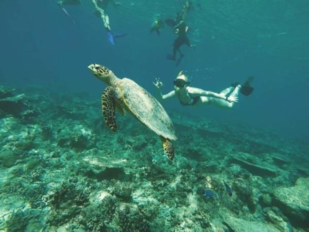 Gurus Maldives At Gulhi Island Hotel Luaran gambar